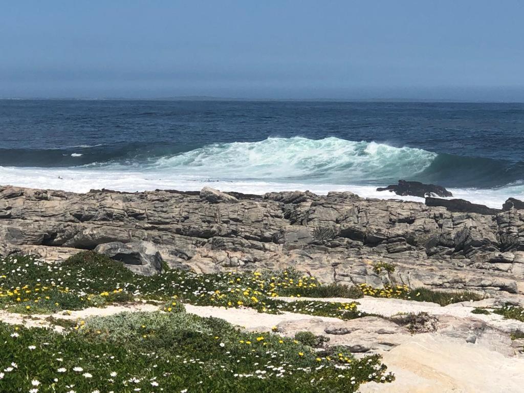 Hermanus Beach Club - Le Maree House 18 Dış mekan fotoğraf